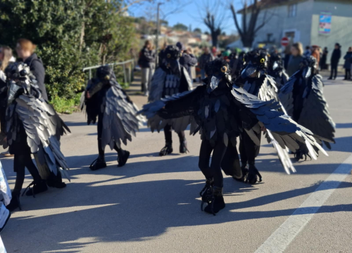 Fotografija 12 - Male Bake u Murteru