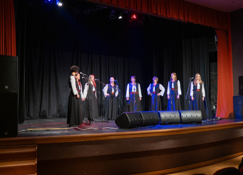 Fotografija 13 - Humanitarni koncert u Vodicama: Klape zapjevale za malu Petru