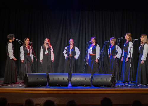 Fotografija 11 - Humanitarni koncert u Vodicama: Klape zapjevale za malu Petru