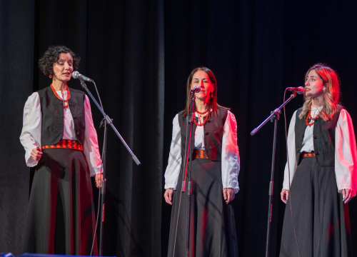 Fotografija 12 - Humanitarni koncert u Vodicama: Klape zapjevale za malu Petru