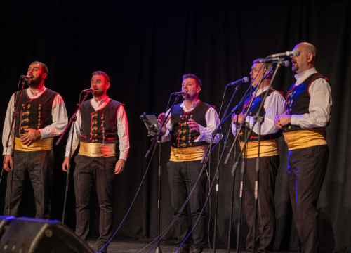 Fotografija 6 - Humanitarni koncert u Vodicama: Klape zapjevale za malu Petru