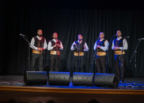 Fotografija 4 - Humanitarni koncert u Vodicama: Klape zapjevale za malu Petru