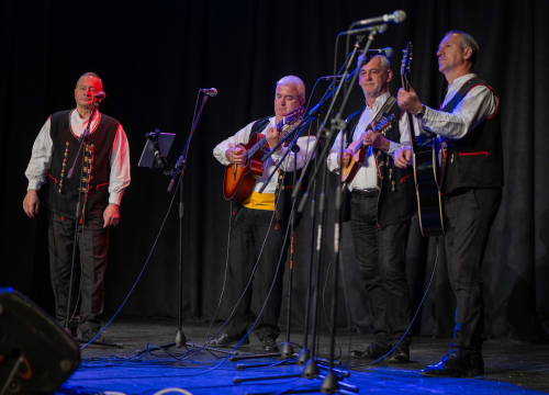 Fotografija 3 - Humanitarni koncert u Vodicama: Klape zapjevale za malu Petru