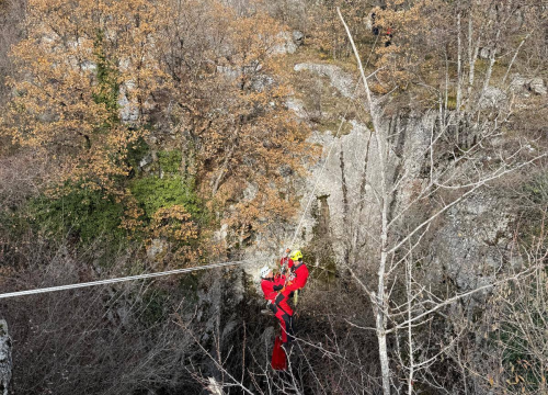 Fotografija 4 - Antonija je ekonomiju zamijenila prirodom