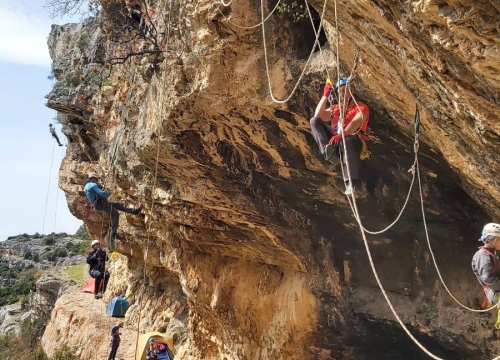 Fotografija 15 - Antonija je ekonomiju zamijenila prirodom