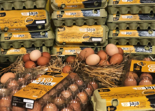 Fotografija 11 - 'Halo Jaja': Od koka do vaše kuhinje u najkraćem mogućem roku!