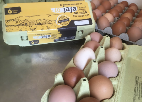 Fotografija 13 - 'Halo Jaja': Od koka do vaše kuhinje u najkraćem mogućem roku!