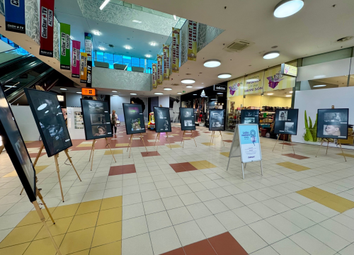 Ladies weekend u Dalmare centru: Slavlje posvećeno ženama