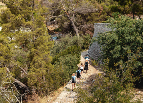 Teretana nije jedini put do kondicije: Ova aktivnost je odlična alternativa