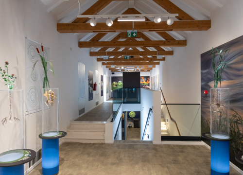 Fotografija 3 - NP Krka posjetiteljima daruje obilazak gornjeg toka rijeke Krke i 'vrela života' u Kistanjama