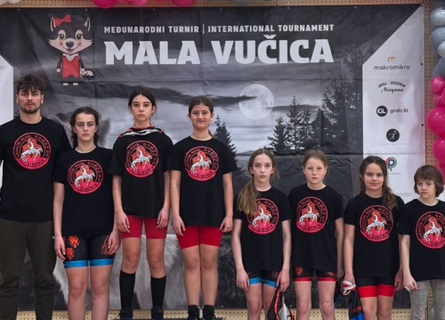 Hrvačicama Šibenika tri medalje na 'Maloj Vučici'