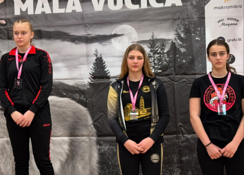 Fotografija 8 - FOTO: Hrvačicama Šibenika tri medalje na 'Maloj Vučici'