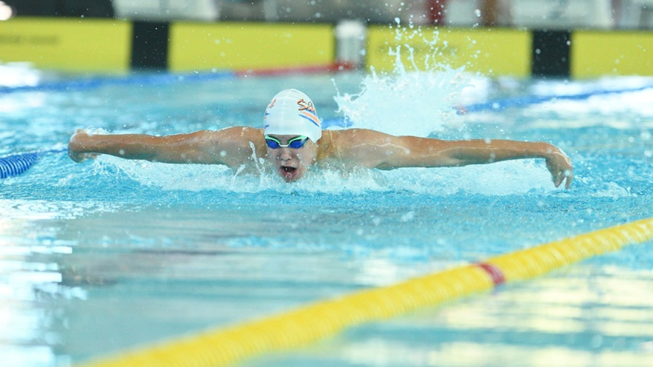 Šibenski plivači Josip Bepo i Šimun Srzić dio pobjede Hrvatske u četveroboju reprezentacija