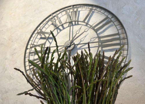 Fotografija 2 - FOTO Dani šparoga u Bavi