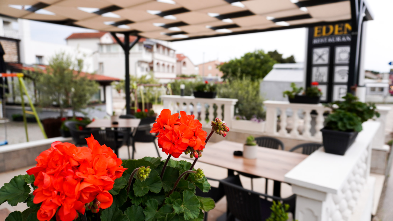 Restoran Eden ponovno otvoren – vrhunski okusi koji osvajaju!