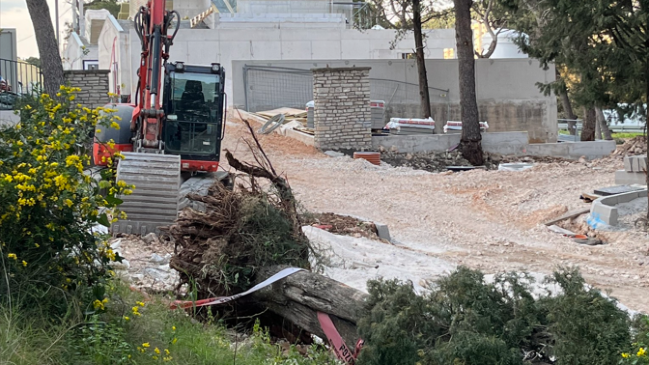 Čempres koji može 'uhvatiti' 800 godina pao u trenu: 'Ajte kvragu svi zajedno, sa svim svojim investicijama'