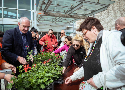 Održana tradicionalna akcija podjele sadnica u Šibeniku: Dvije tisuće đirana za ljepši grad