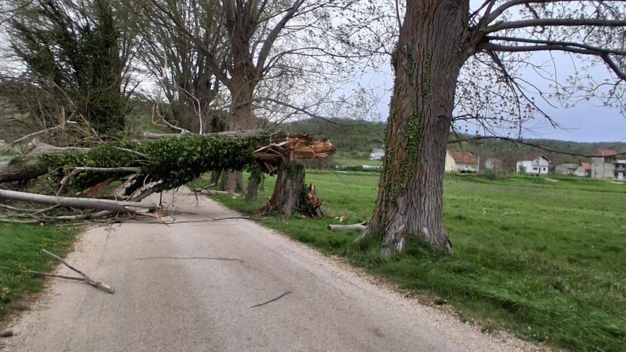 Vatrogascima nema predaha: Srušeno stablo u Drnišu, oštećeni automobili u Šibeniku