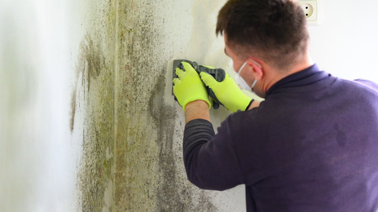 Povećana vlažnost u prostoru: Reagirajte na vrijeme, od malih fleka na zidu do velikog problema!