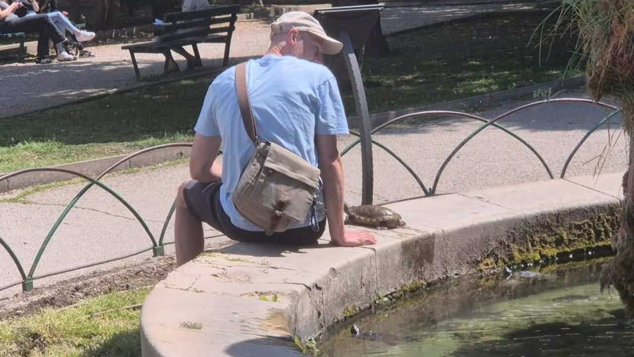 Turist u centru Šibenika iz fontane izvadio kornjaču i gazio po zelenoj površini