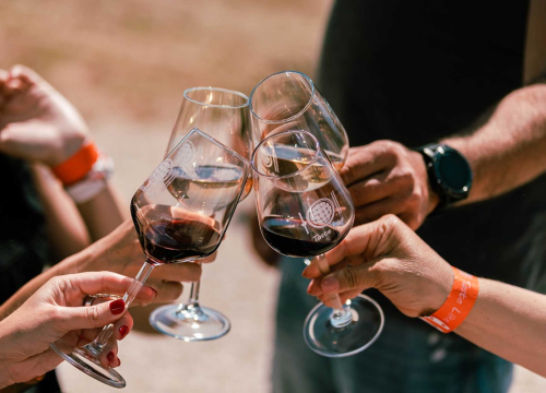 Poziv prijevoznicima: Sudjelujte u projektu Dani otvorenih kušaonica!