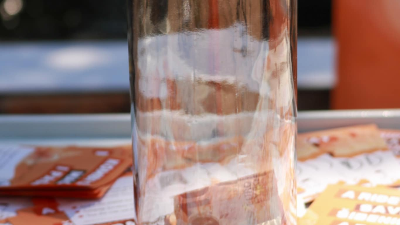 Volonteri, donacije i udomitelji: Dobar start humanitarne akcije Šibenskih šapa na Krki