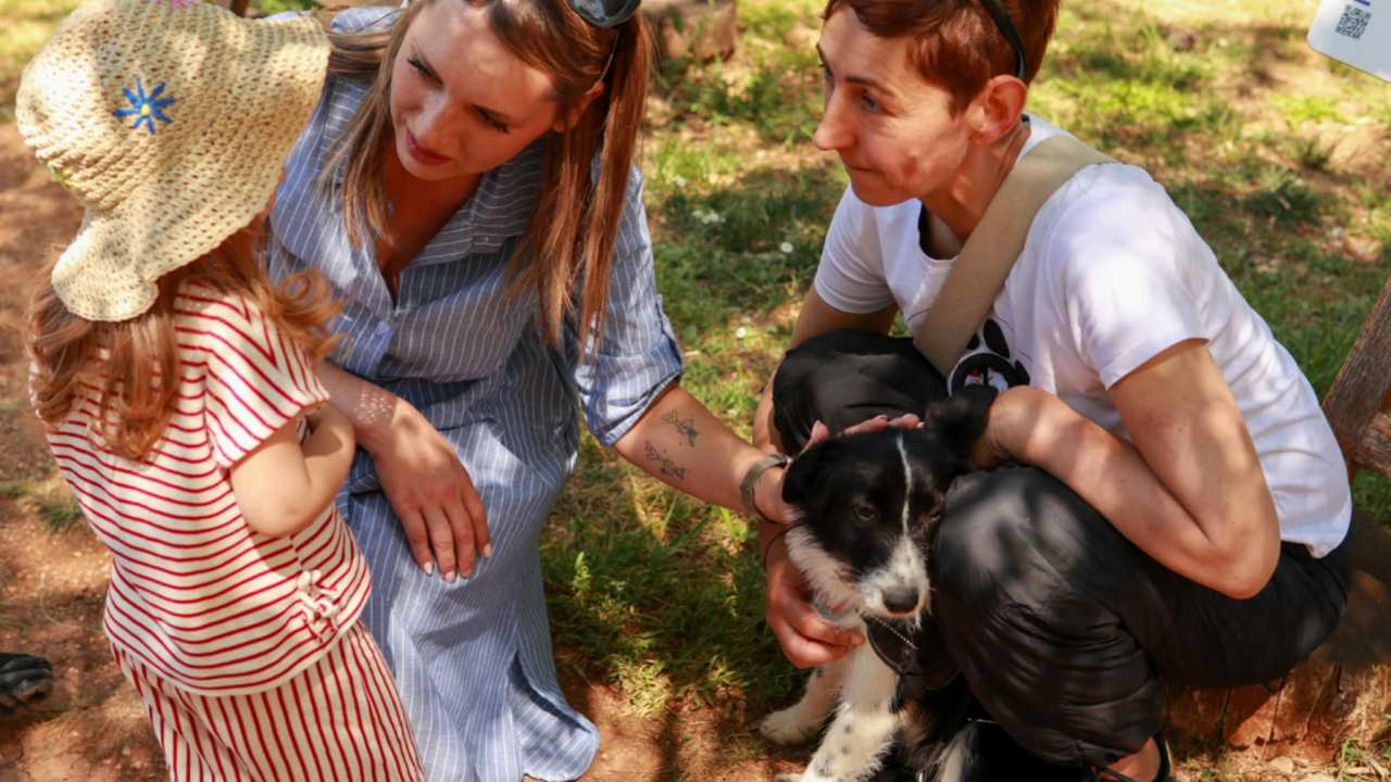 Volonteri, donacije i udomitelji: Dobar start humanitarne akcije Šibenskih šapa na Krki
