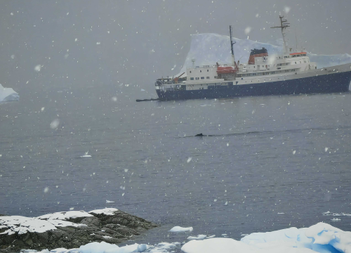 Fotografija 12 - Veliki Gogo, prvi Šibenčanin na Antarktici: 'Skočio sam u more dva puta, a pingvini baš i ne mirišu najbolje'