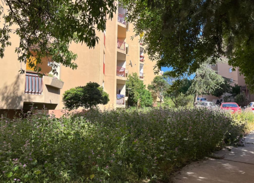 Vidici zarasli, trava do pasa: Kosilice izašle na teren kod 'Lepe Brene'