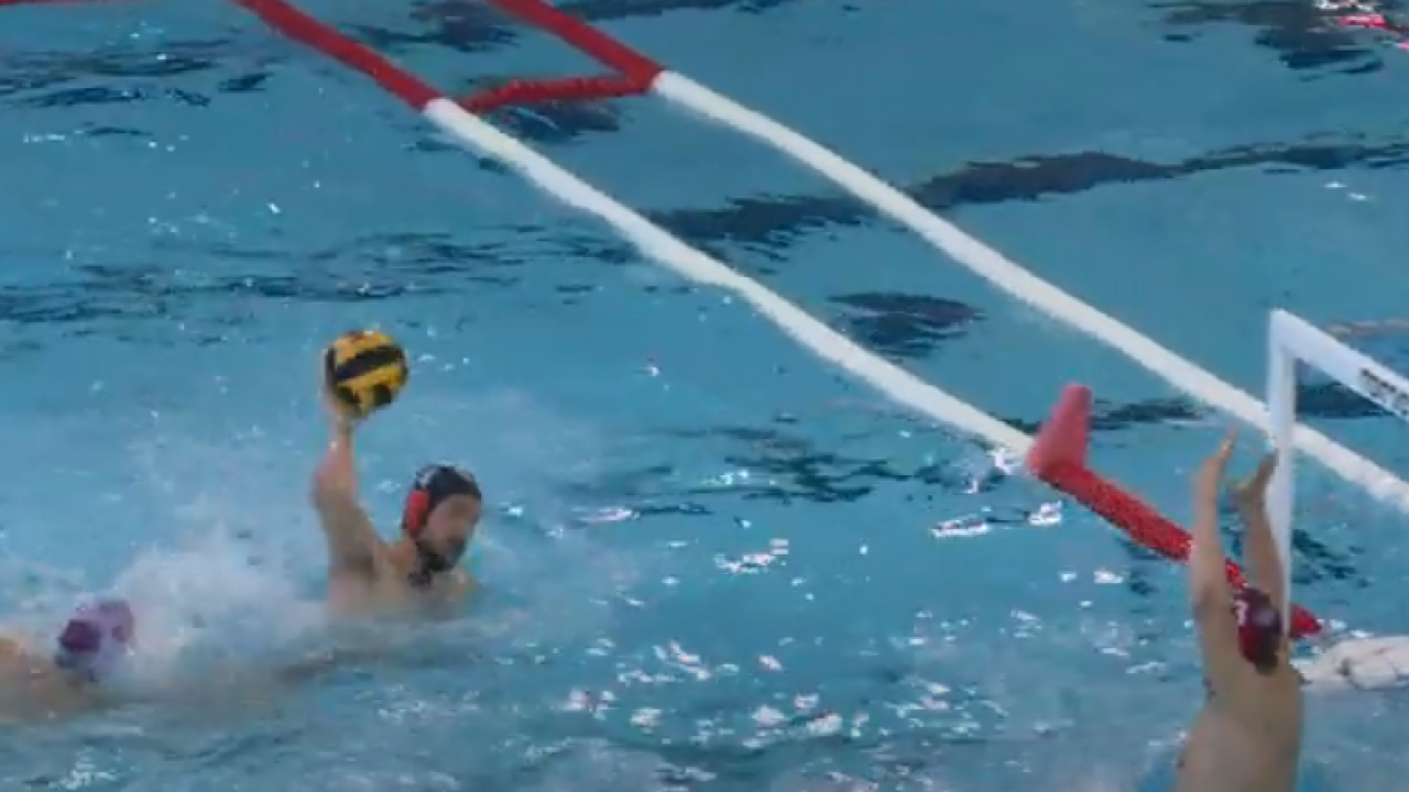 Solaris poražen kod Juga: Dobra obrana u cijeloj utakmici, izuzev potopa u drugoj četvrtini