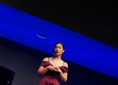 Fotografija 5 - Gala koncert u čast Ester Mazzoleni oduševio Šibenik – upućen apel za novu glazbenu školu