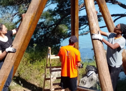 Volonteri nastavljaju s predanim radom na očuvanju murterskog Colentuma