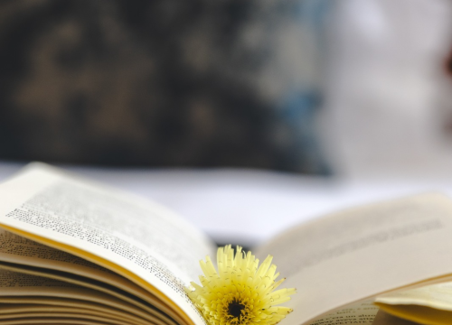 Fotografija 4 - FOTO: Hotel Tisno: Obiteljska vizija koja baštinu pretvara u doživljaj