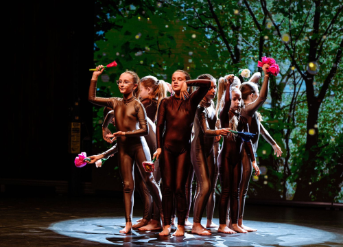 Fotografija 8 - Godišnja produkcija šibenske plesne škole