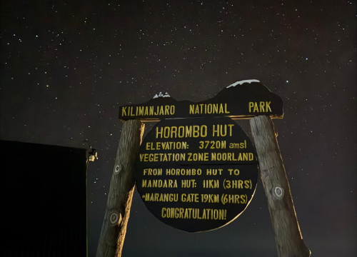 Fotografija 2 - Primoštenci s ponosom zastali na 'krovu Afrike'