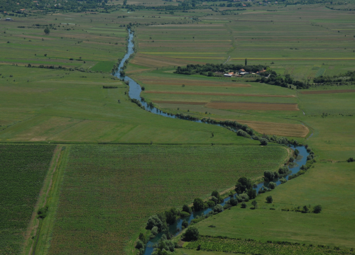 Poticanje lokalne proizvodnje: Grad Drniš raspisao natječaj za potpore u poljoprivredi i ruralnom razvoju