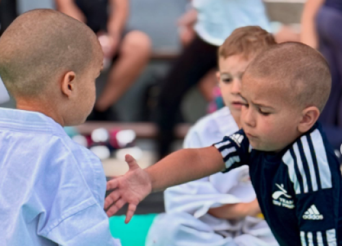 Fotografija 2 - Održano polaganje za učeničke pojaseve ispod moćne Kninske tvrđave