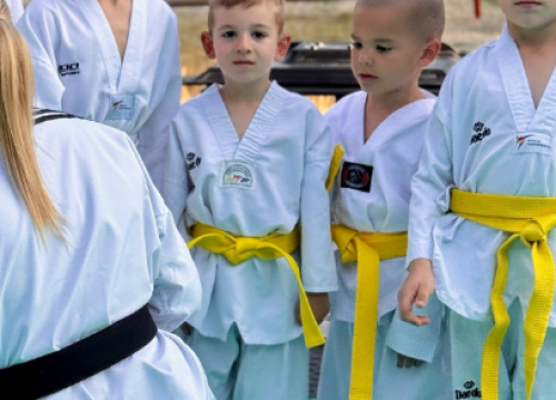 Fotografija 4 - Održano polaganje za učeničke pojaseve ispod moćne Kninske tvrđave