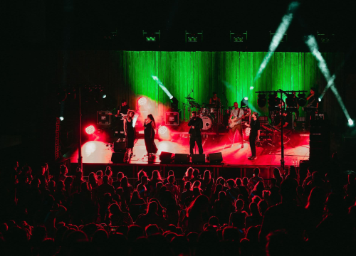 Fotografija 19 - Večer za pamćenje: Matija Cvek & The Funkensteins rasplesali publiku na Tvrđavi sv. Mihovila