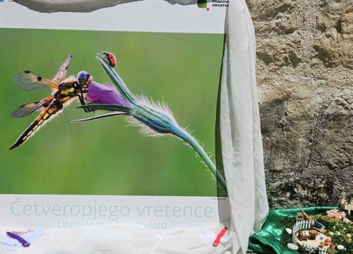 Fotografija 2 - Tradicijsko tkanje i vretenci oduševili posjetitelje NP Krka