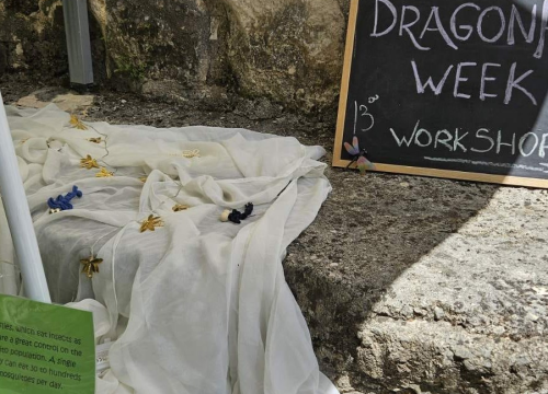 Fotografija 3 - Tradicijsko tkanje i vretenci oduševili posjetitelje NP Krka