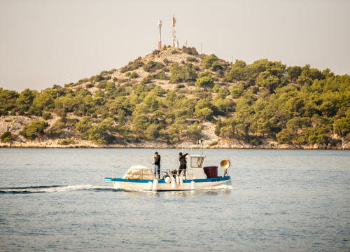Usvojeno izvješće eurozastupnice Zovko za ravnopravne uvjete ribolova u Sredozemlju
