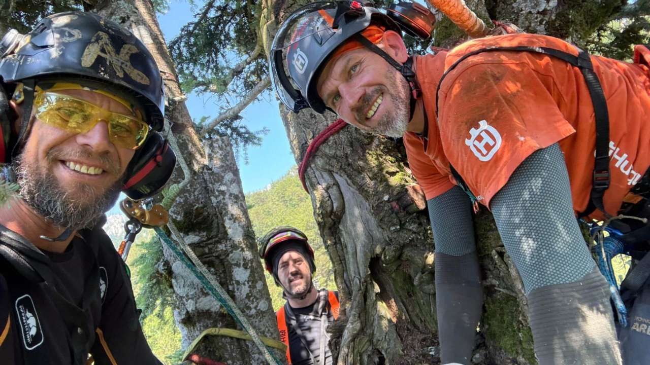 Najviša europska jela stara preko 500 godina raste u Hrvatskoj