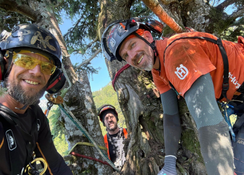 Najviša europska jela stara preko 500 godina raste u Hrvatskoj