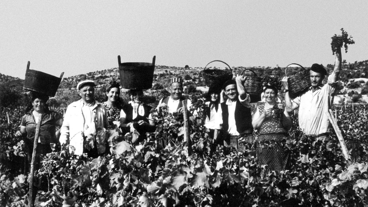 Težaci kao najbrojniji socijalni sloj kroz povijest: Od Arasa, Baljkasa i Bujasa do Škarica, Škugorovića i Zjačića