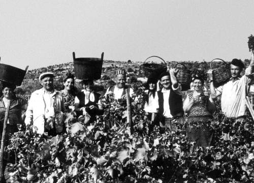 Težaci kao najbrojniji socijalni sloj kroz povijest: Od Arasa, Baljkasa i Bujasa do Škarica, Škugorovića i Zjačića