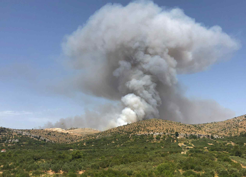 Fotografija 4 - Požar na Bikarcu