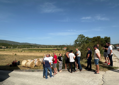 Stočari s drniškog područja ogorčeni zbog bedrenice i načina na koji službe vode slučaj