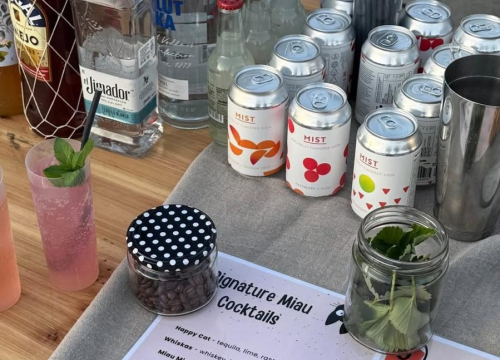 Fotografija 3 - U Murteru održan humanitarni buvljak za Šibenske šape