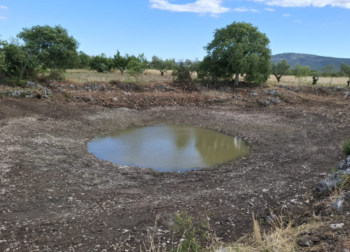 Očuvanje prirodne baštine: Stručna služba NP Krka u suradnji s lokalcima očistila lokvu Suvaču